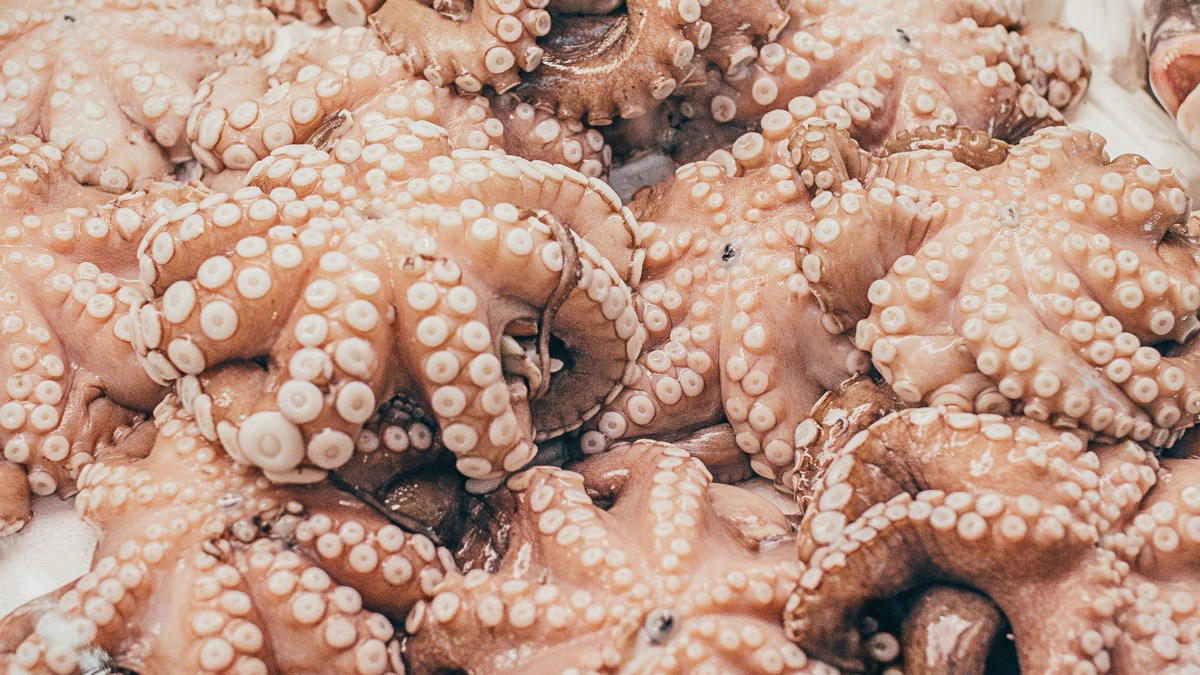 5 Adorable Facts About Loveable Ocean Creatures
