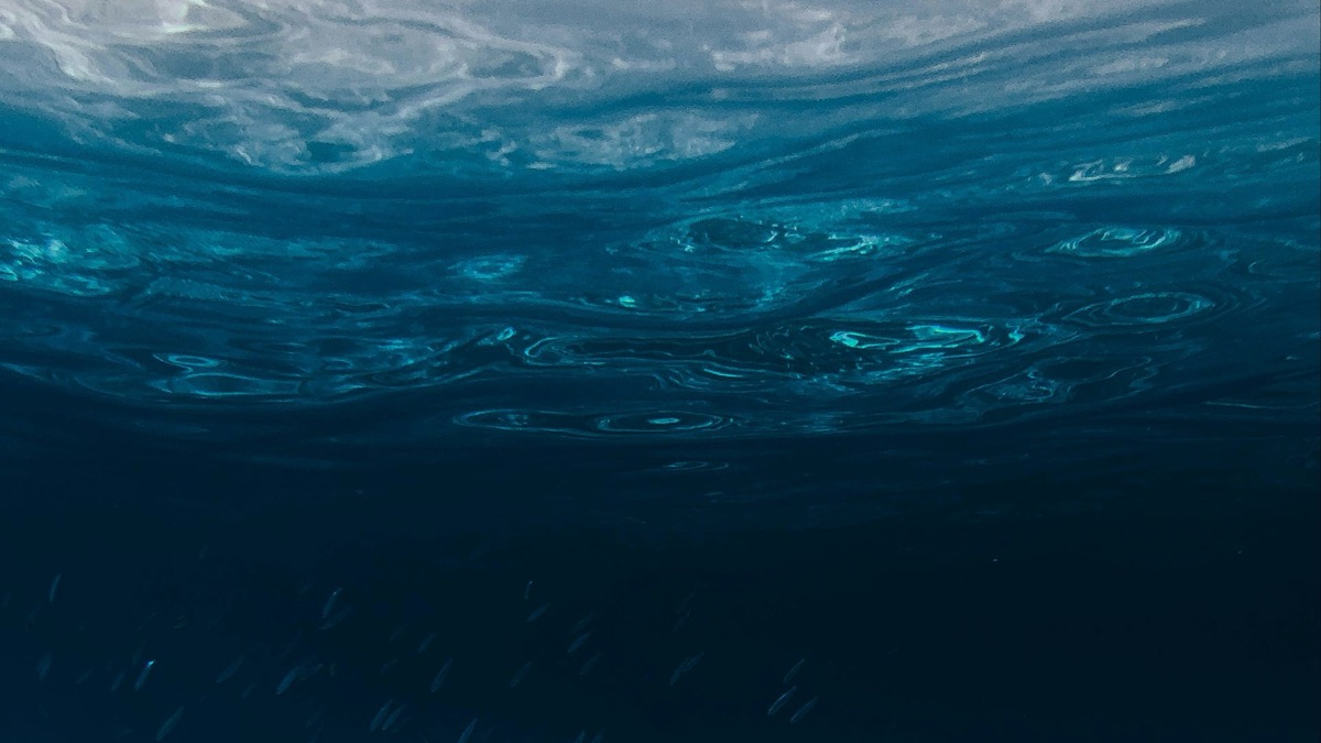 5 Fascinating Facts About Our Planet Earth