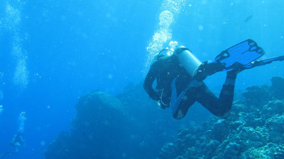 The 5 Best Spots To Scuba Dive